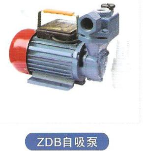 ZDB自吸泵